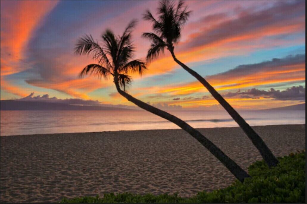 Photo of Others in Kaanapali