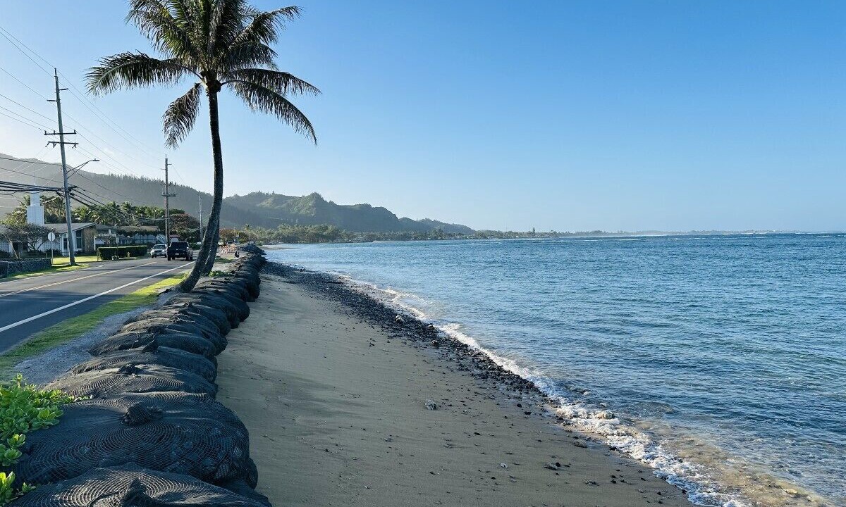 Photo of Others in Hauula