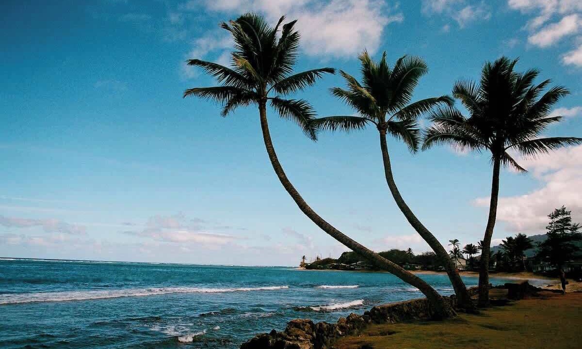 Photo of Others in Hauula