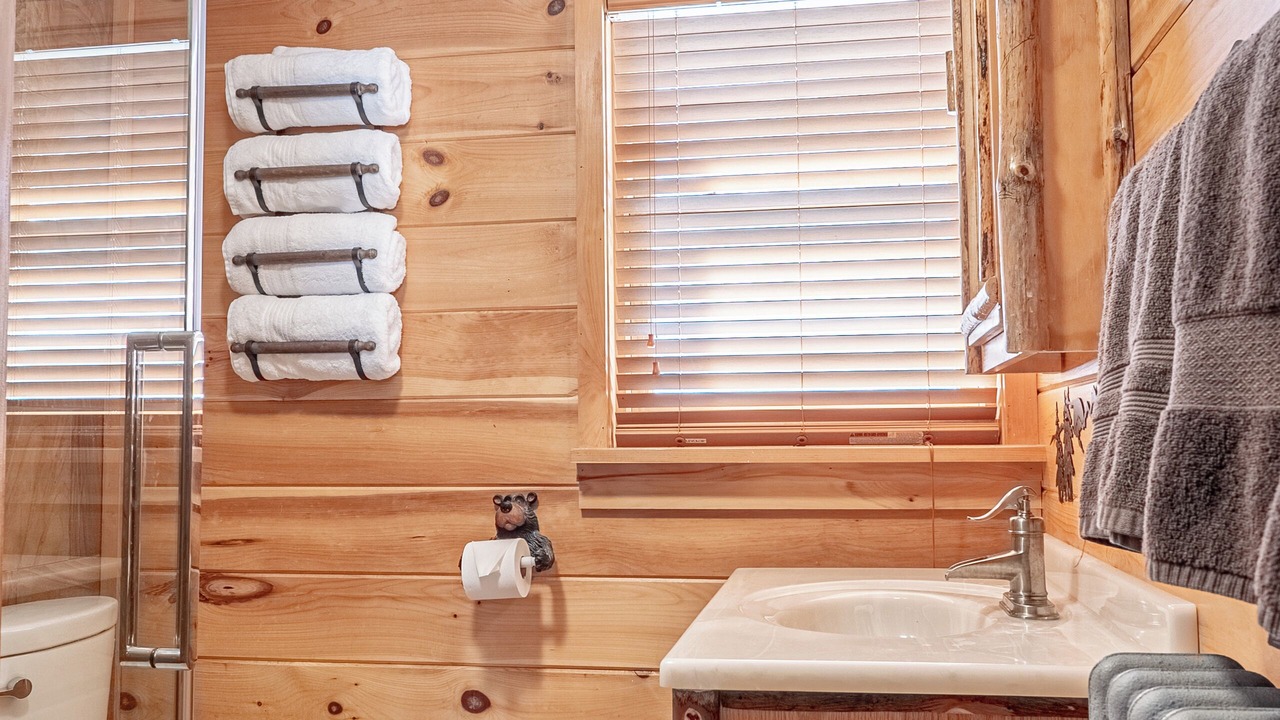 Photo of Bathroom in Lake George