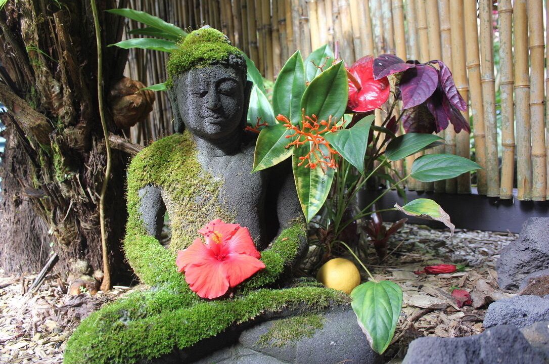 Photo of Outdoor in Honaunau-Napoopoo