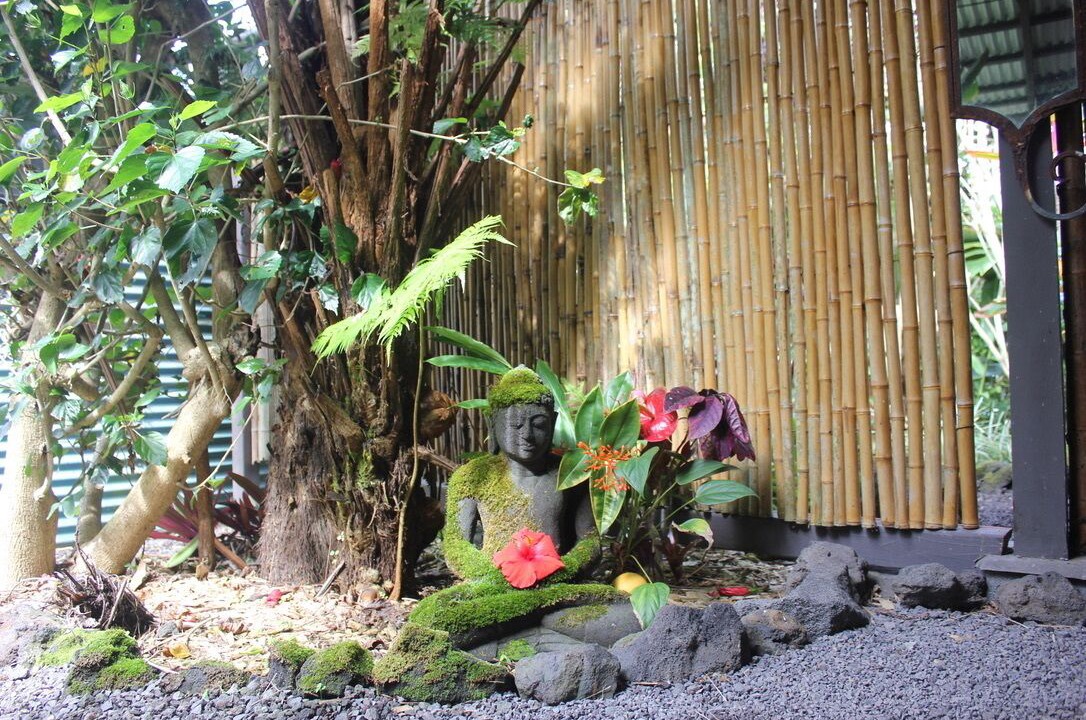 Photo of Outdoor in Honaunau-Napoopoo