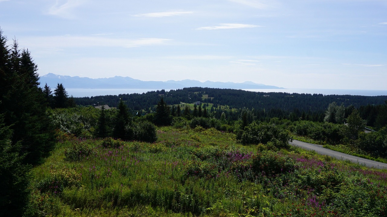 Photo of Others in Diamond Ridge