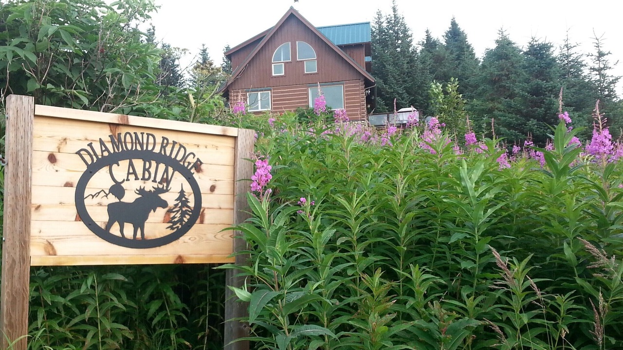 Photo of Outdoor in Diamond Ridge