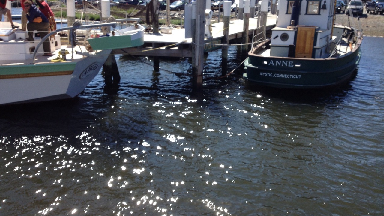 Photo of Others in West Mystic