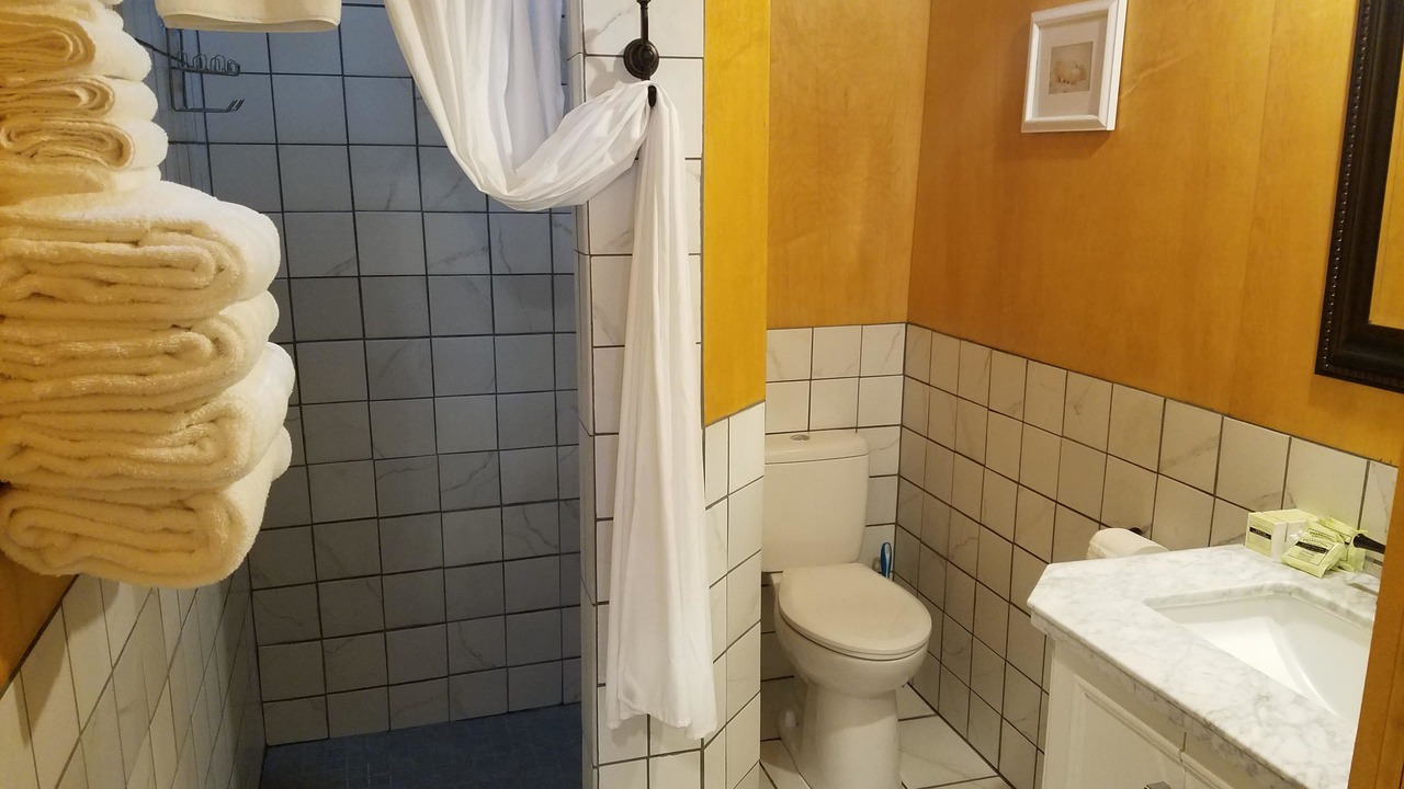 Photo of Bathroom in Healy