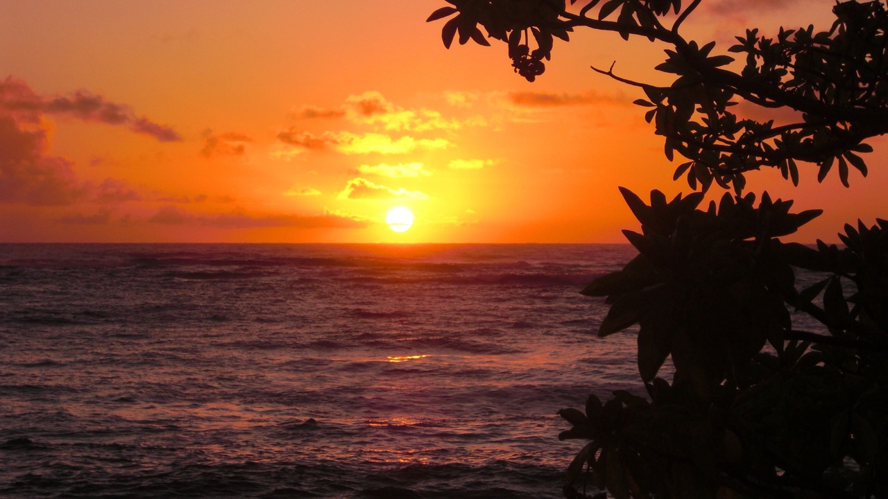 Photo of Others in Waikiki
