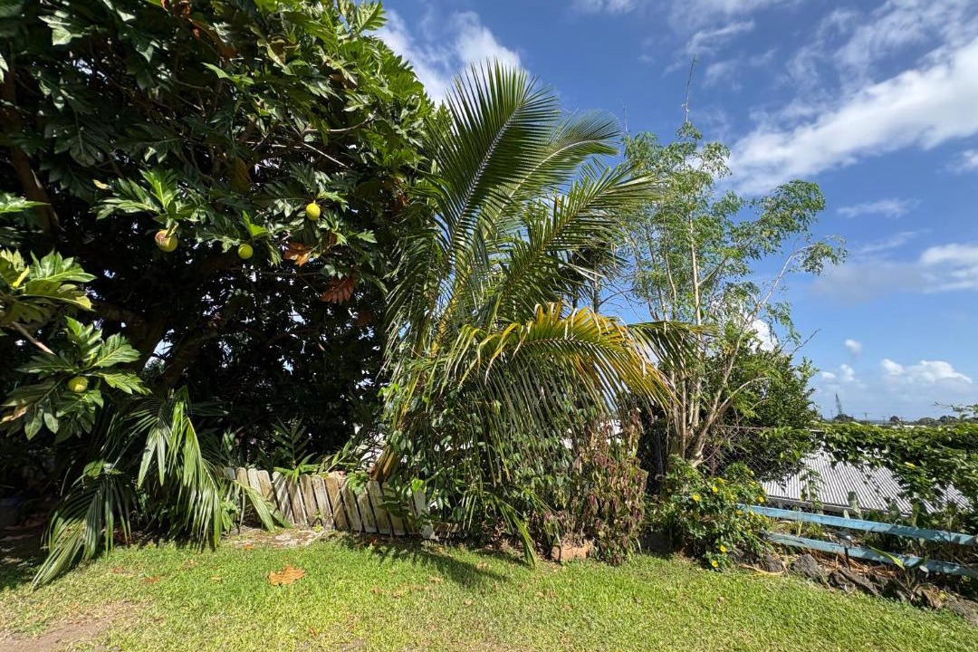 Photo of Others in Hilo