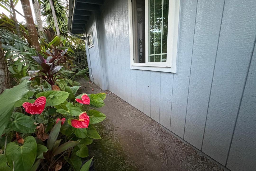 Photo of Others in Hilo