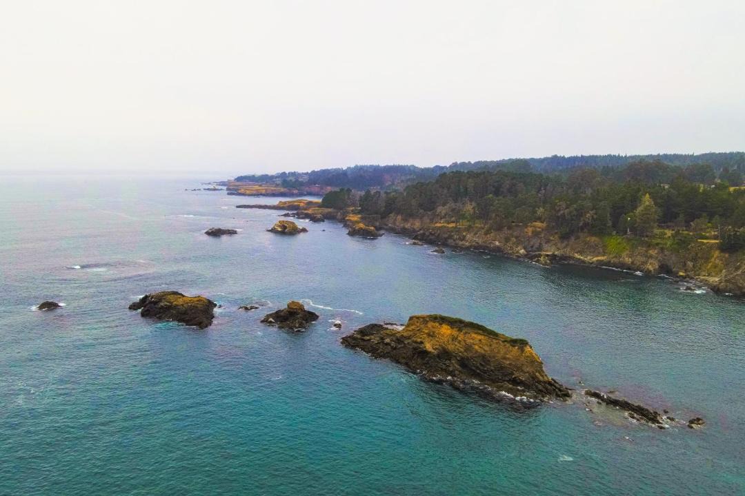 Photo of Others in Mendocino