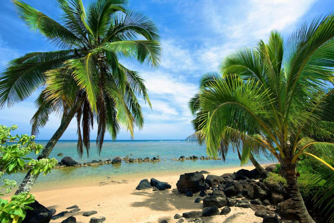 Photo of Others in Princeville