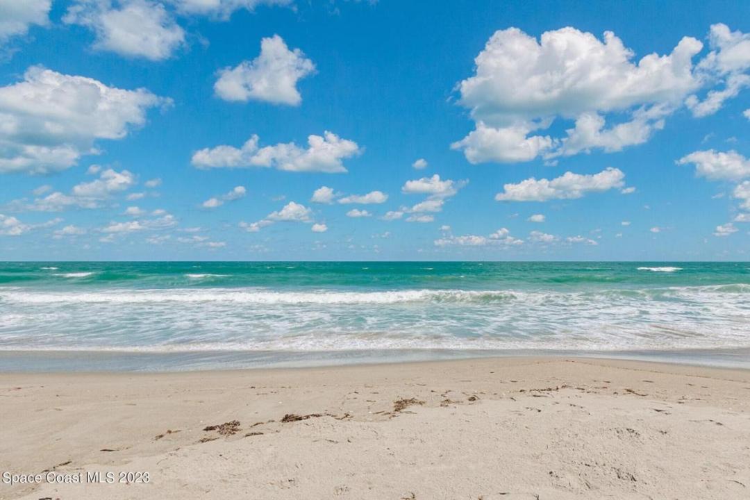Photo of Others in Port Canaveral