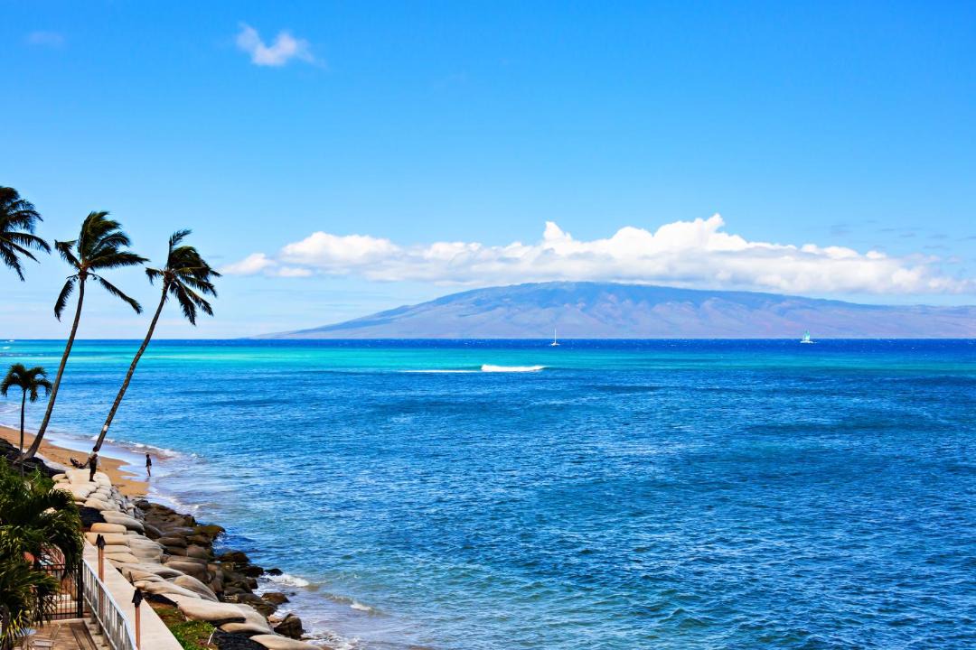 Photo of Others in Kahana